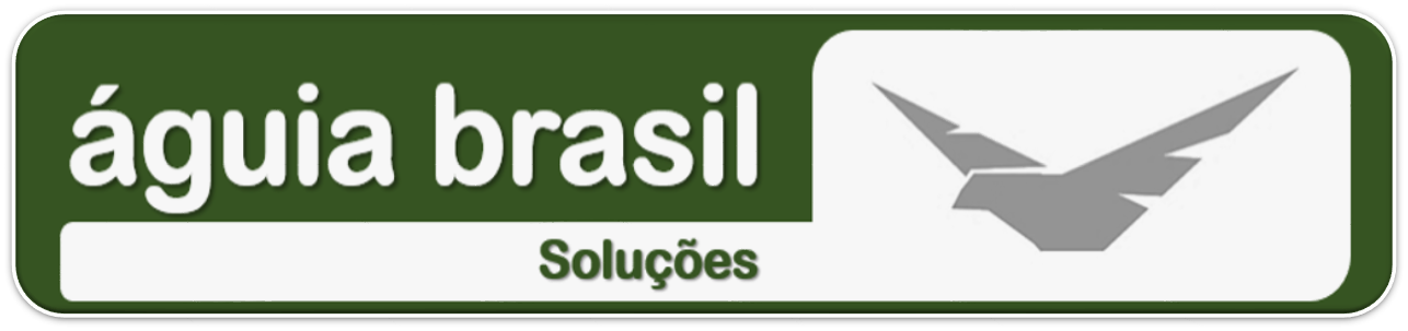 Aguia Soluções